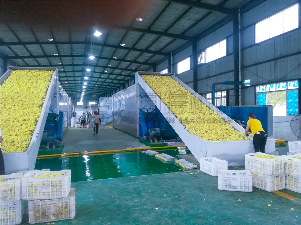 
Hemp hot air drying machine with Industrial stainless steel continuous herbs mesh belt drying machine 