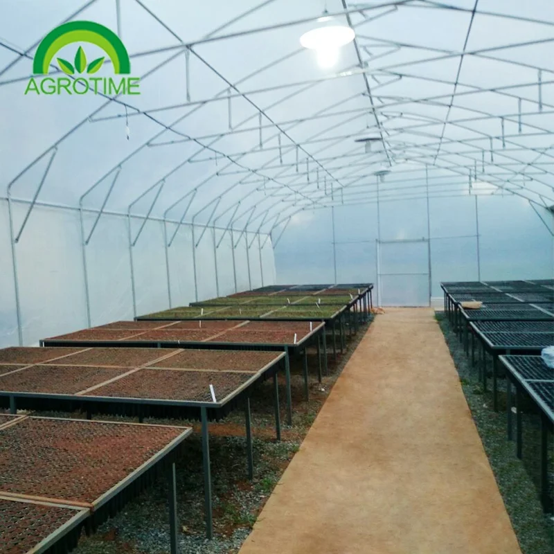 Cheap greenhouse frame tomato low cost greenhouse farming industrial tunnel greenhouse