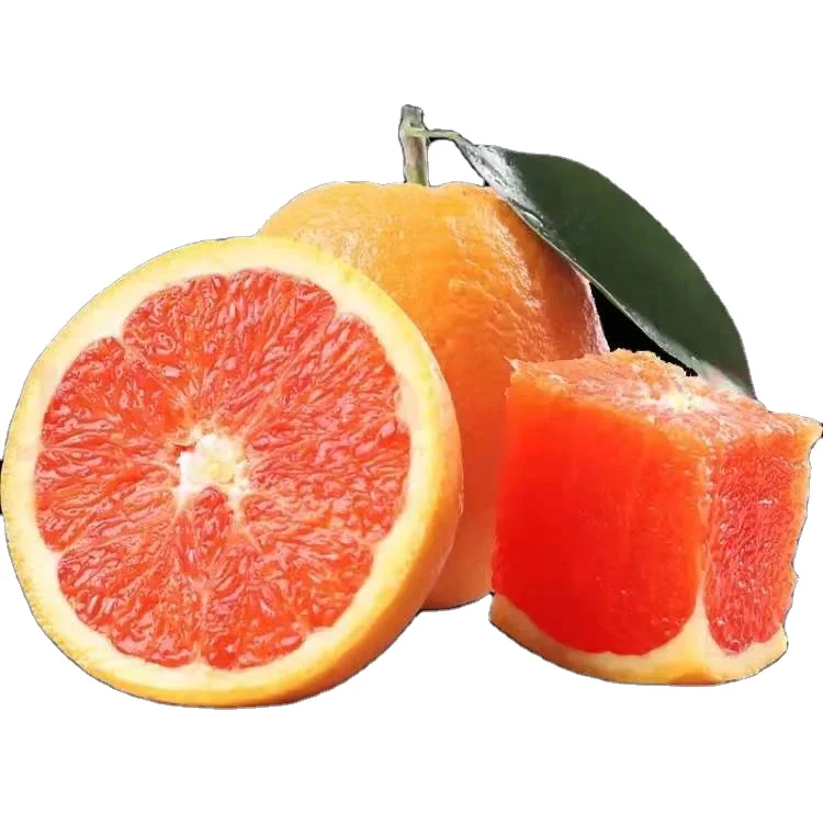 
Hot Selling Good Quality Fresh Navel Fruit Organic Orange 