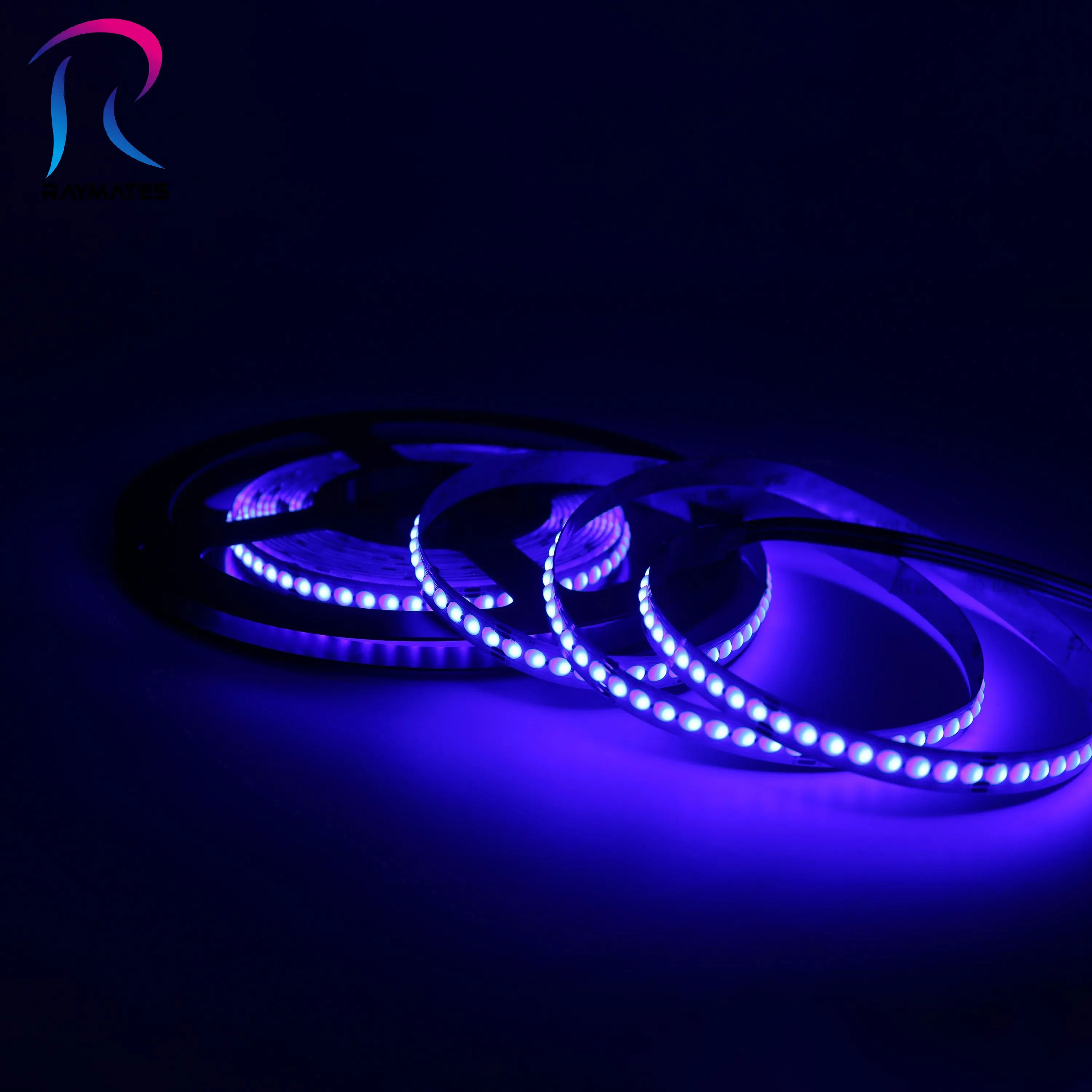 Special Design Dot RGB COB led strip 160LEDs 10mm 24V COB flexible led strip cob