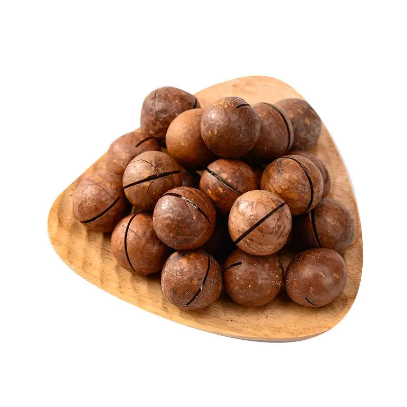 China Factory Price Macadamia nuts, roasted macadamia, organic macadamia nuts