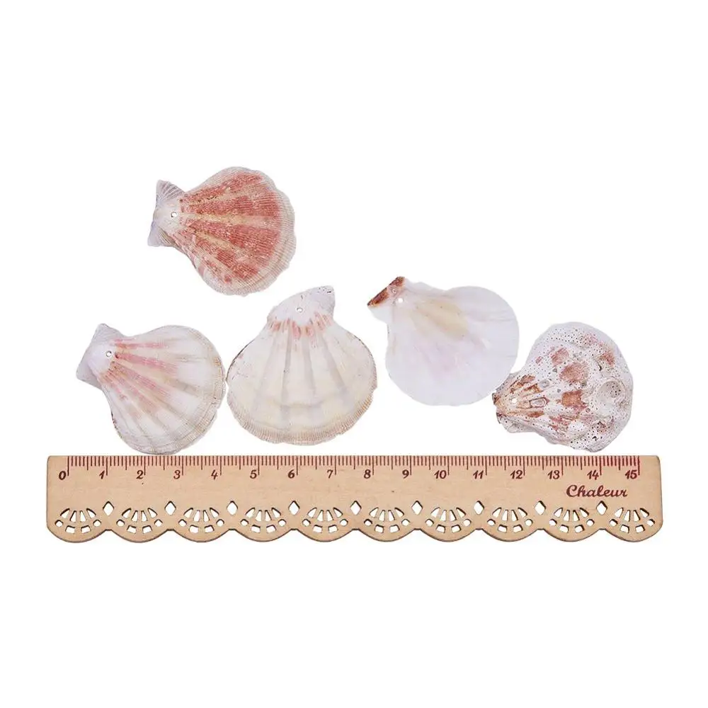 Bulk Price DIY Natural Scallop Shells With A Hole  For Home Decor DIY Jewelry Making