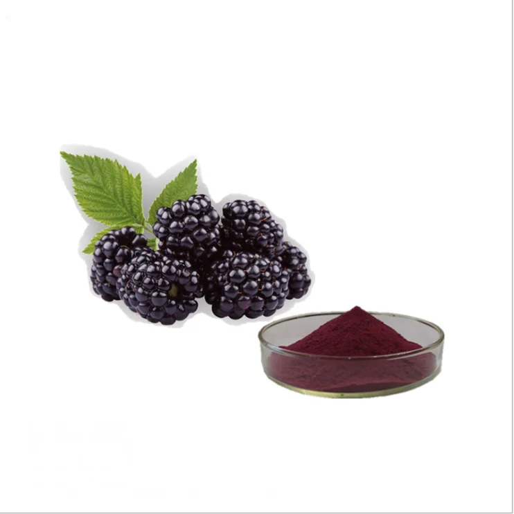 High Quality Mulberry Super-micro Powder Mulberry Extract Powder for Fruit Juice