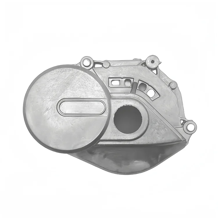 Aluminium Die-Cast Central Motor Cover Electric Bike Mountain Bicycle Mid Drive Motor Powder Custom EBike Motor Cover Services