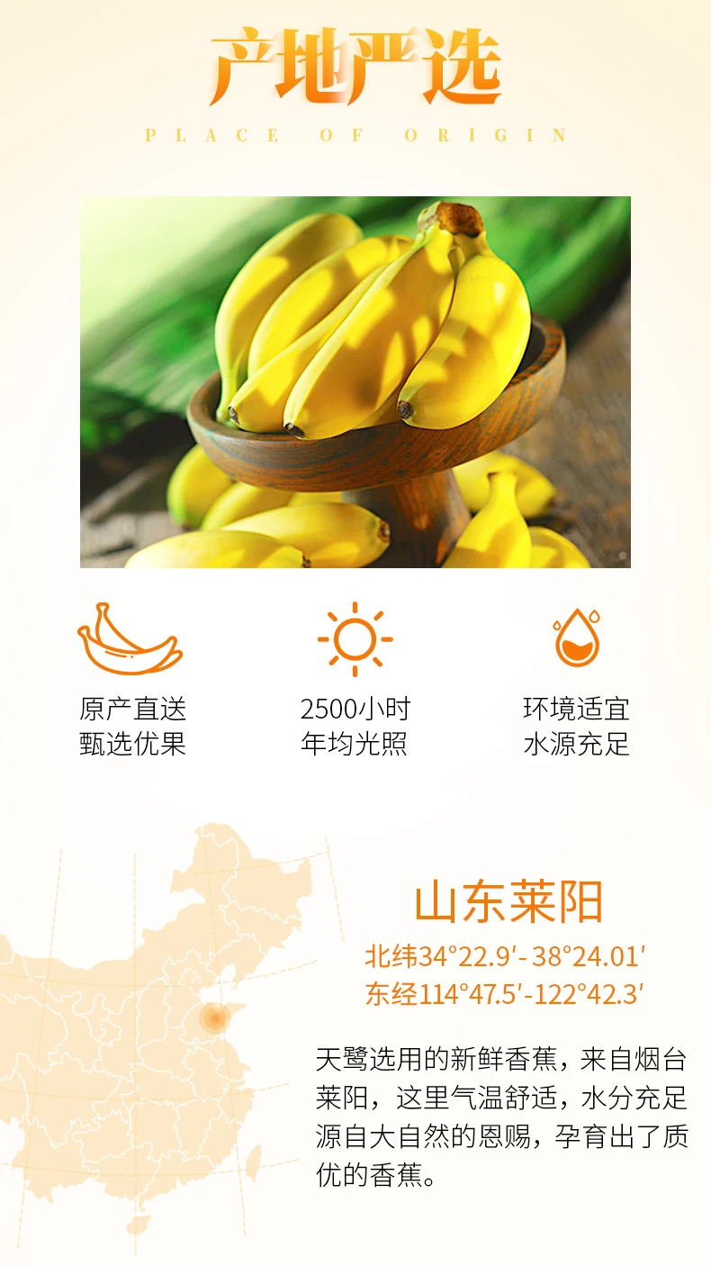 Wholesale Freeze Dried Banana Slice Dried Banana Chips