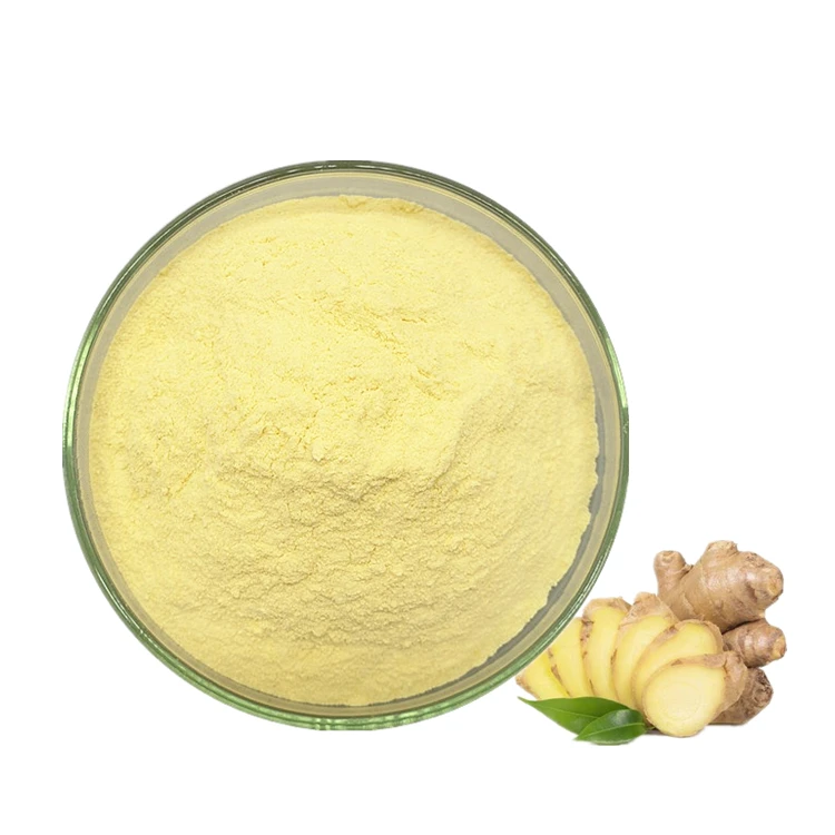 Factory Supply Competitive Price Pure Dried Ginger Root Extract Gingerol Powder