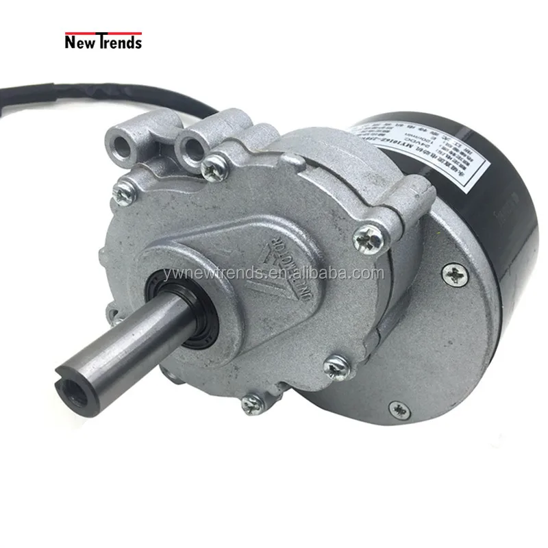 Promotion MY1016Z 250W 24V DC Brushed High Torque 75 120 160 RPM Motor For Electric WheelChair Mowing Robot Caddy