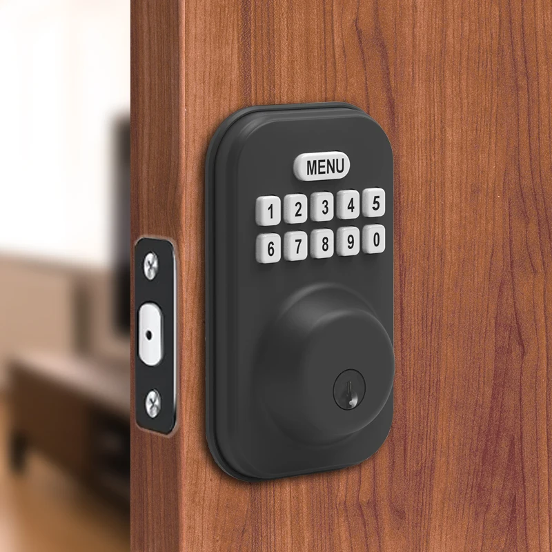 Factory direct sales Electronic Keyless Digital Deadbolt Door Lock ZNN2110-1