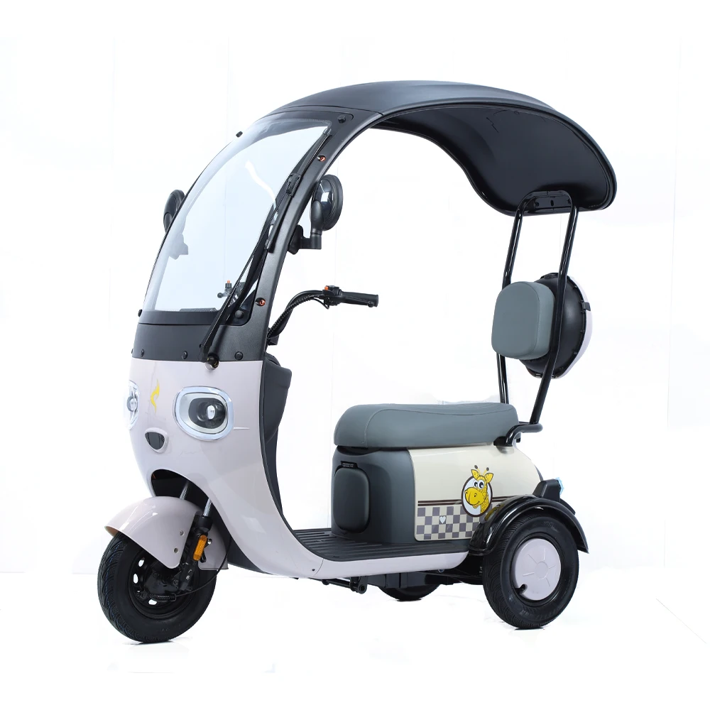 2024 New E-Bike 3 Wheels Electric Scooter 800W Family Use Electric Tricycle Bike For Adults