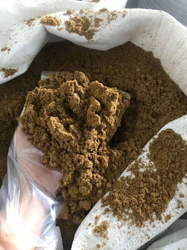 Best Choice] High Quality Of Marine Fish Meal from Vietnam - Ready In Stock Wholesale Special Price