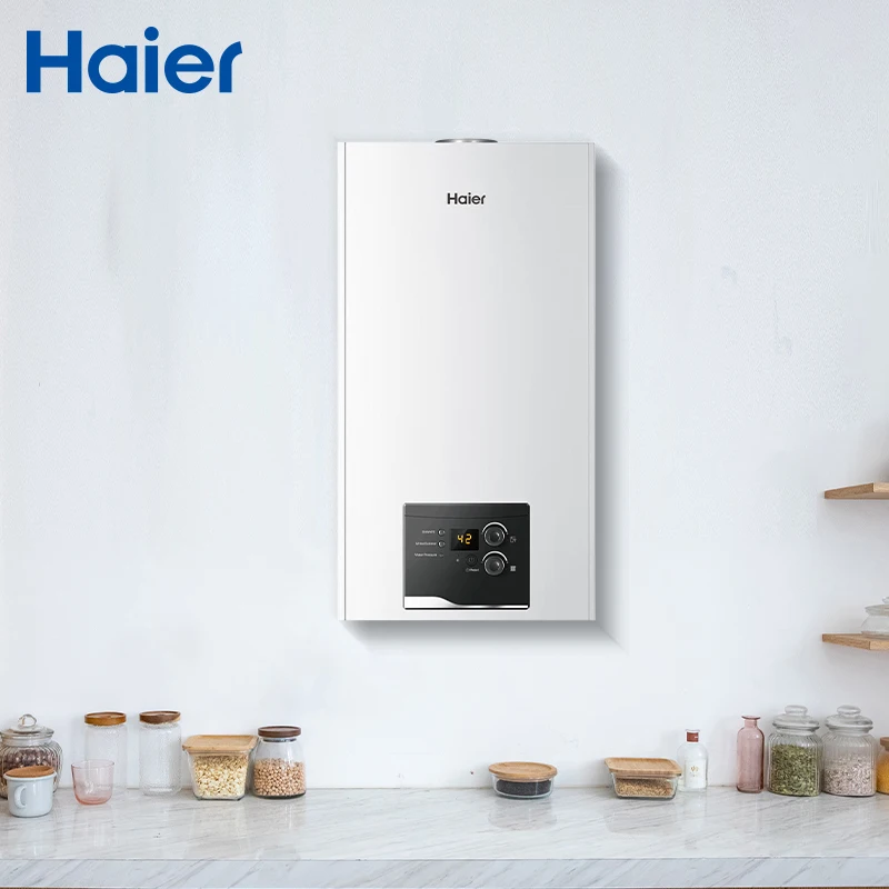 20kw to 32kw Wall Hung Household Condensing Gas Boiler Natural Fired for Outdoor Heating and Hot Water Low Price