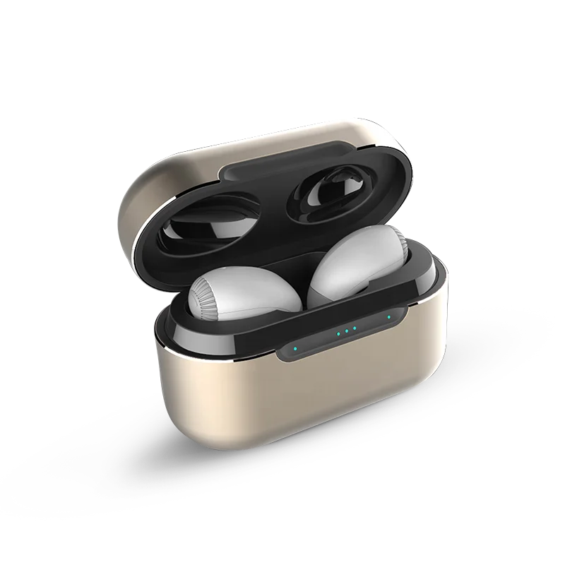 Dual Invisible Hearing Devices Deafness Hearing Aids Wholesale With Rechargeable Box