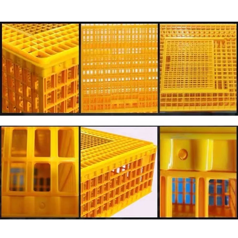 Chicken Duck Goose Pigeon Rabbit Quail Cage with PP Plastic Turnover Basket Can Open Door or Side Door Livestock Cage-Used