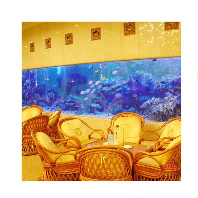 luxury glass fish tank aquarium