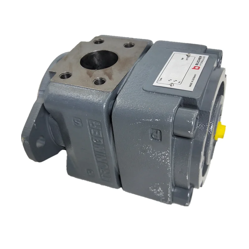 С услугой Trade assurance Bucher QXM QXM42 QXM23 QXM24 QXM31 QXM32 QXM33 серии QXM42-025L108 внутреннего зацепления мотор