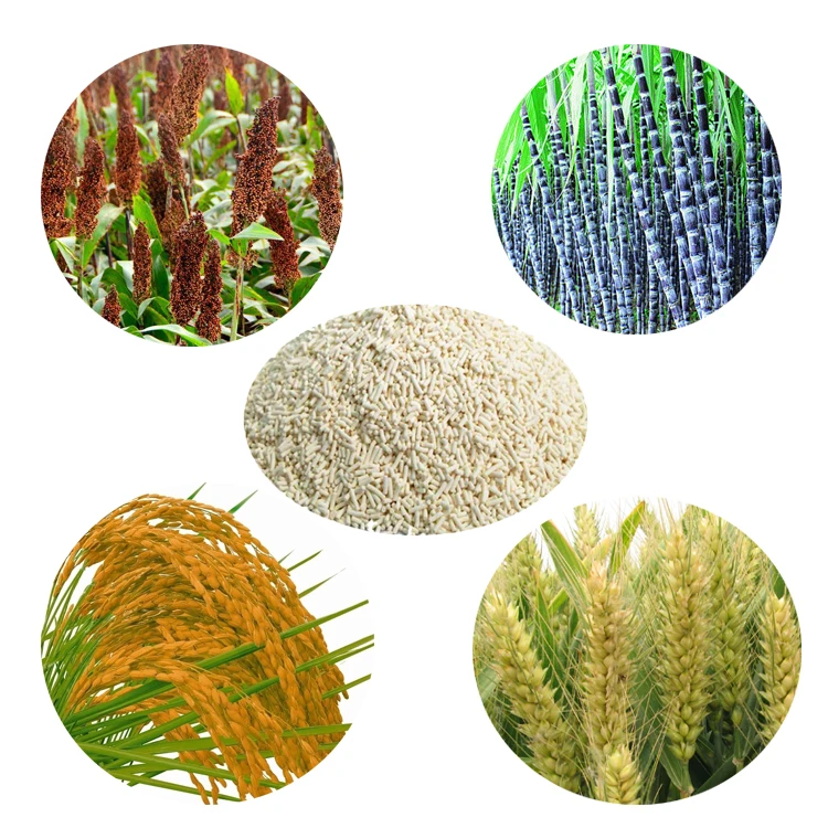 Weedicide Halosulfuron methyl 70% WDG CAS 100784-20-1 for dried beans, lawn and ornamental crops.