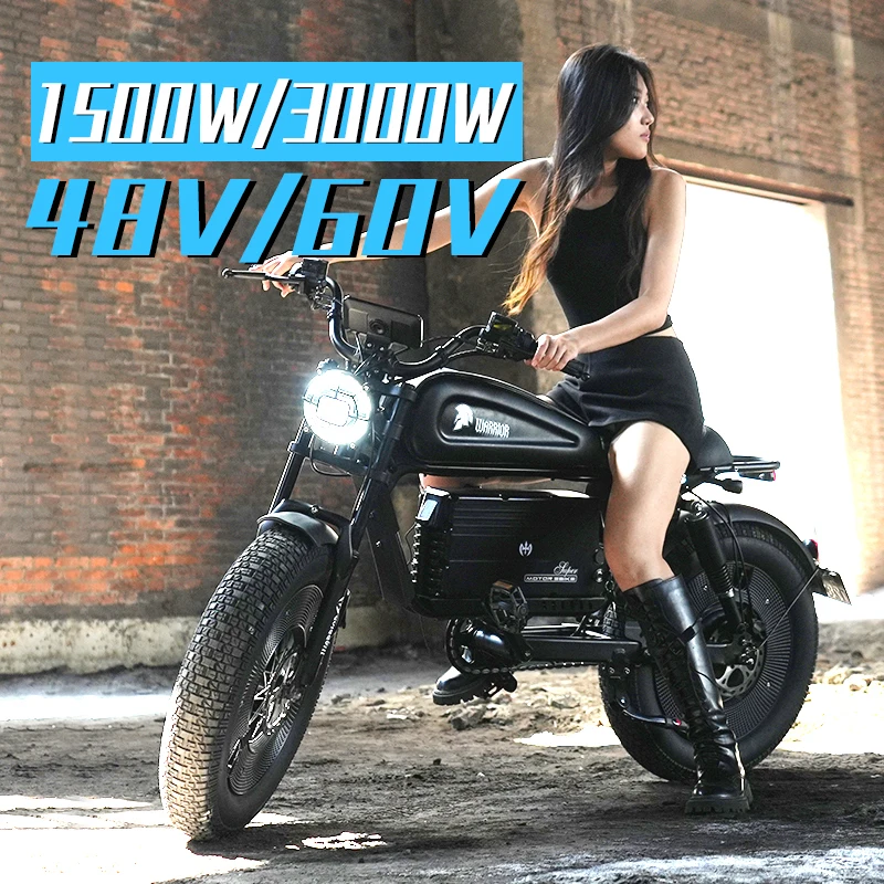 1500W 48V Electronic Mountain Bike Popular High Power Lithium Battery Electric Motorcycle Electric Bike Aluminum Alloy 20 Inch