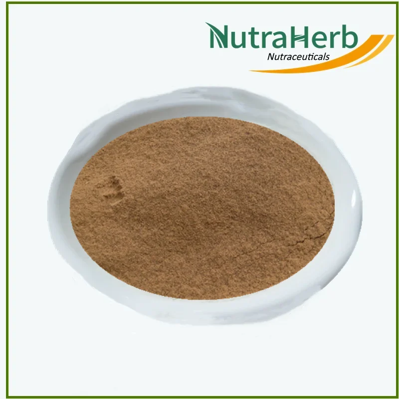 Hot Sale Mint Powder Mentha Piperita Leaf Extract 10:1 Peppermint for Selling