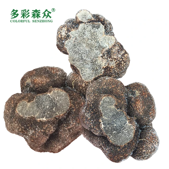 Song lu Health food grade mushroom black truffles Wholesale wild black truffle in Yunnan, China frozen truffle
