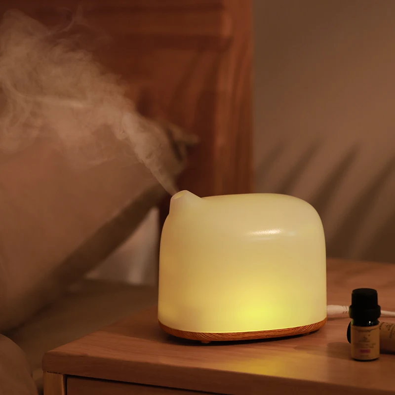 
Home Use 12V aromatheray electric alexa smart aroma diffuser 