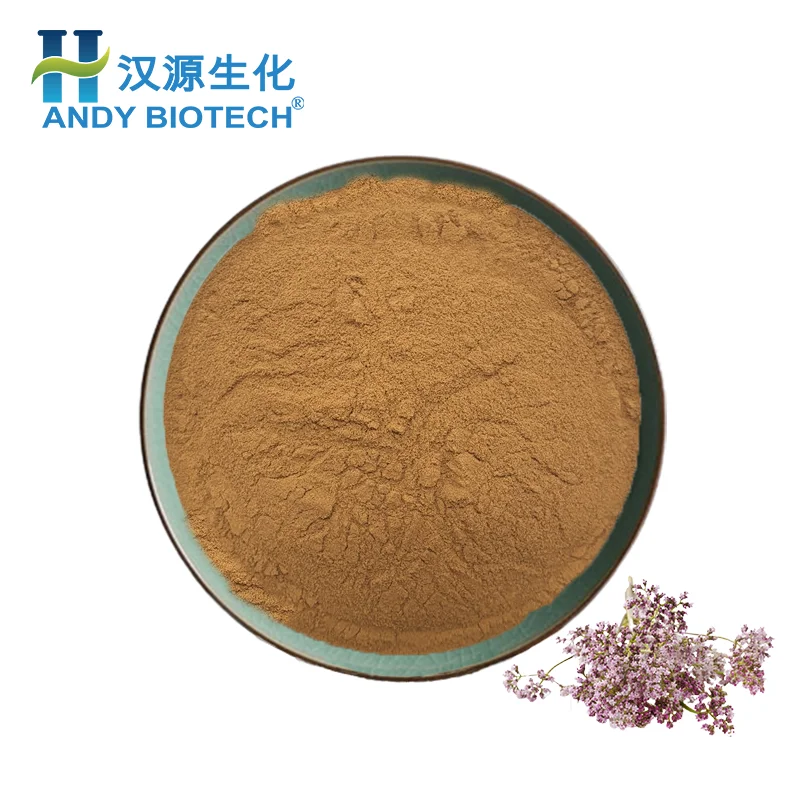 100% Pure Plant Extract Valeriana Officinalis Root Extract Valerian Root Extract