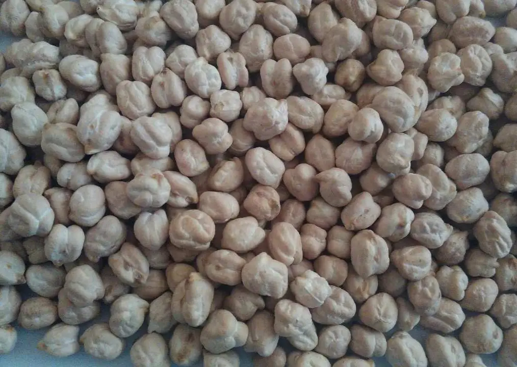  Сушеный нут кабули хана индия