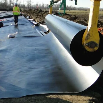 High quality 0.75mm Pond Geomembrane Hdpe Plastic Fish Ponds made in China
