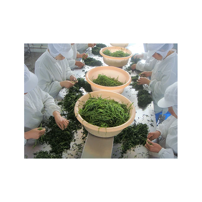 Japanese wholesale products health food with the highest standards