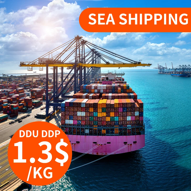 Professional DDP Shipping Agent Service Sea Freight China to USA Seattle Freight Forwarder