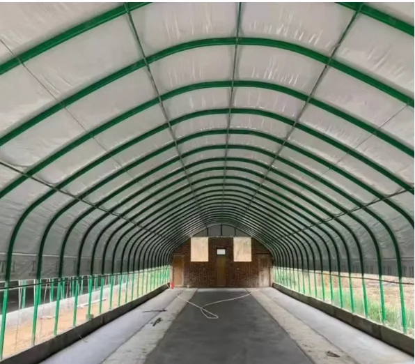 Large Greenhouse Plant Breeding Hydroponic Design Durable PVC Steel PE Materials Low Cost Single Double Layer Plastic Film Cover