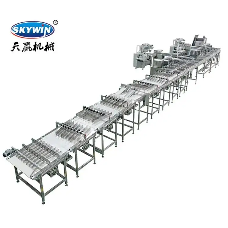 Fully automatic biscuit packaging line egg roll cookies wafer biscuit cake feeding cookies sandwich packing line for food plant