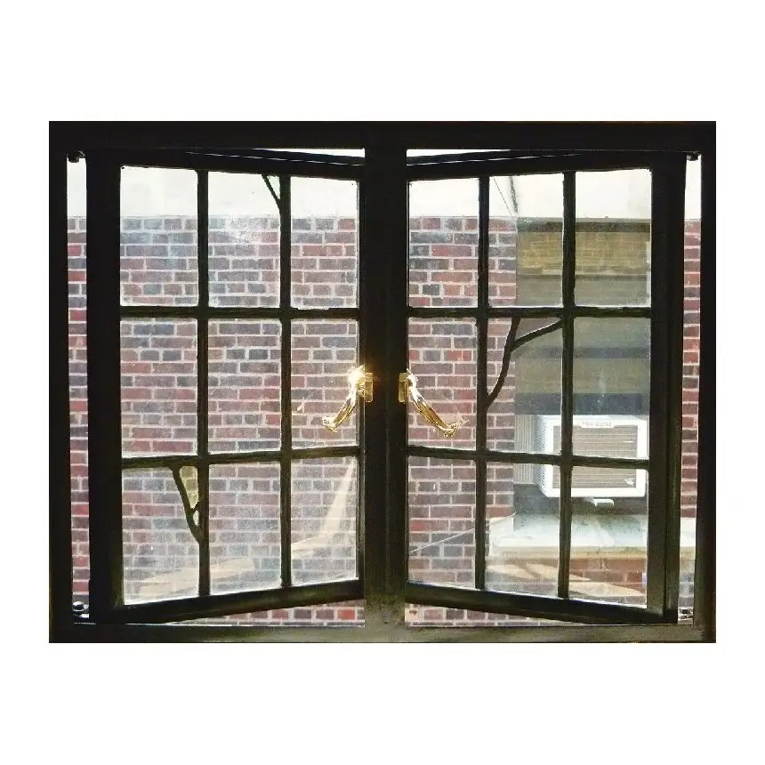 ACESecurity Iron Doors Steel Window Grill Design Windows and Doors for Houses