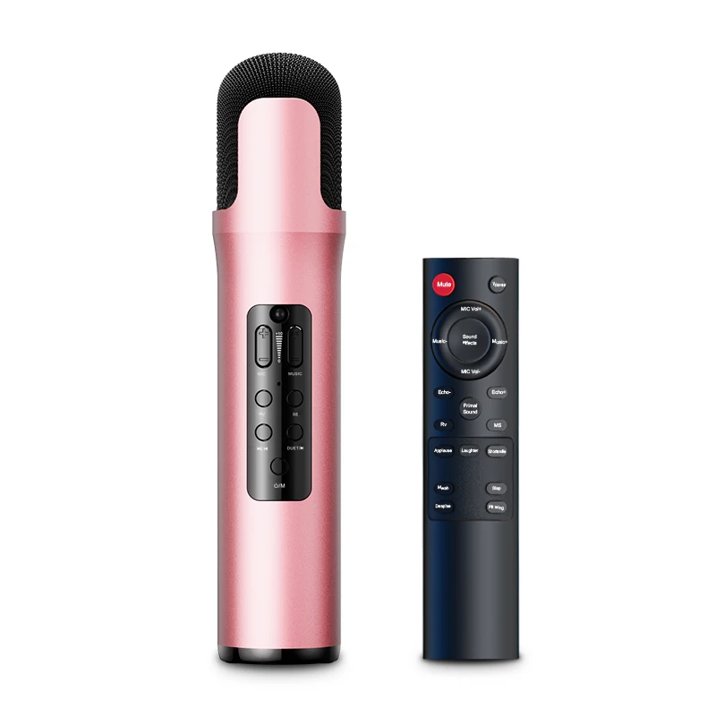 Best Dynamic Cordless Mic With Speaker Remote Controller Dual Singing Wireless Karaoke Microphone