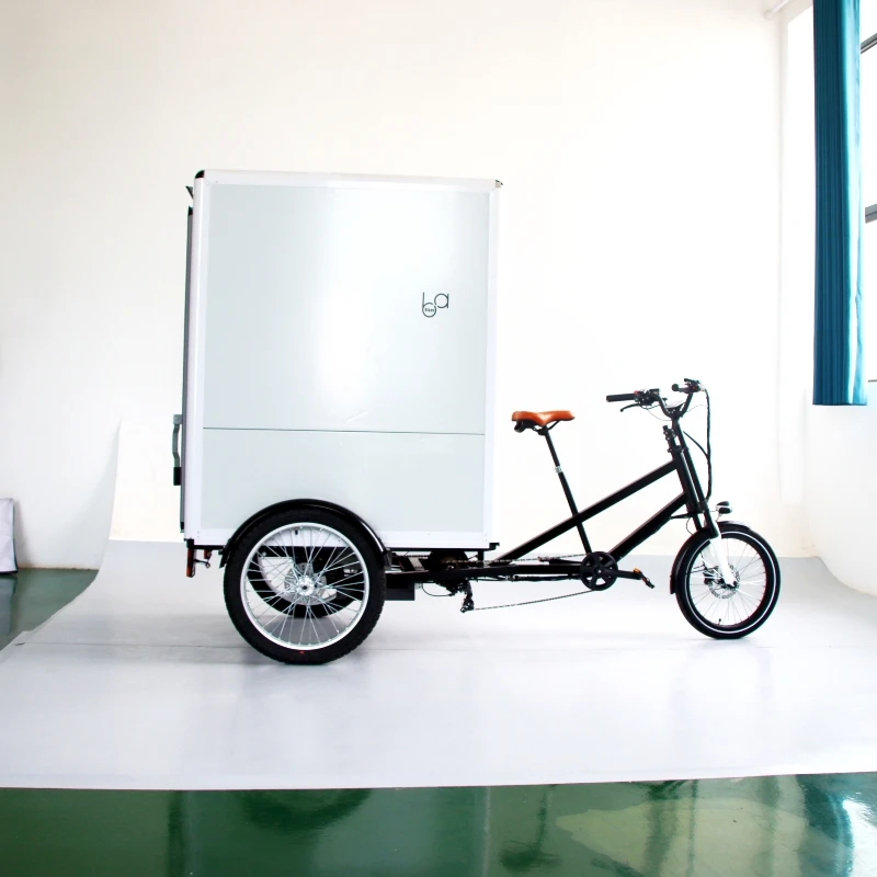 Heavy load cabin cargo Tricycle / closed 3 Wheel Motorcycle Heavy load Cargo Bike Electric bicycles