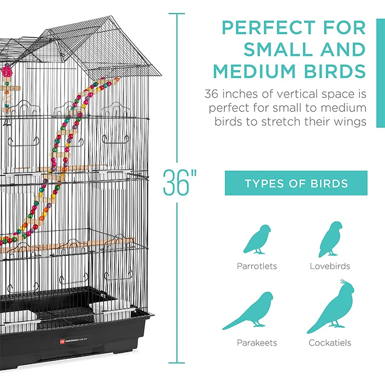 Indoor Outdoor Iron Bird Cage for Medium Parrot Lovebird Finch Parakeets Cockatiel With Removable Tray