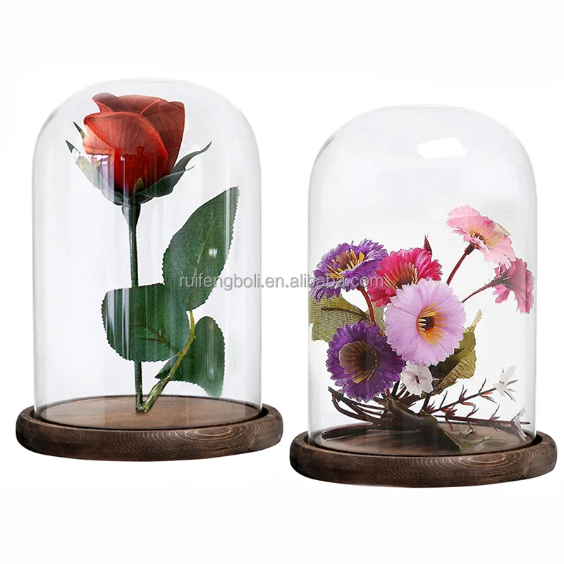 Wholesale Display Bell Jar Terrarium Replacement Glass Domes Clear Oval Cloche Glass Bell Dome With Wood Base