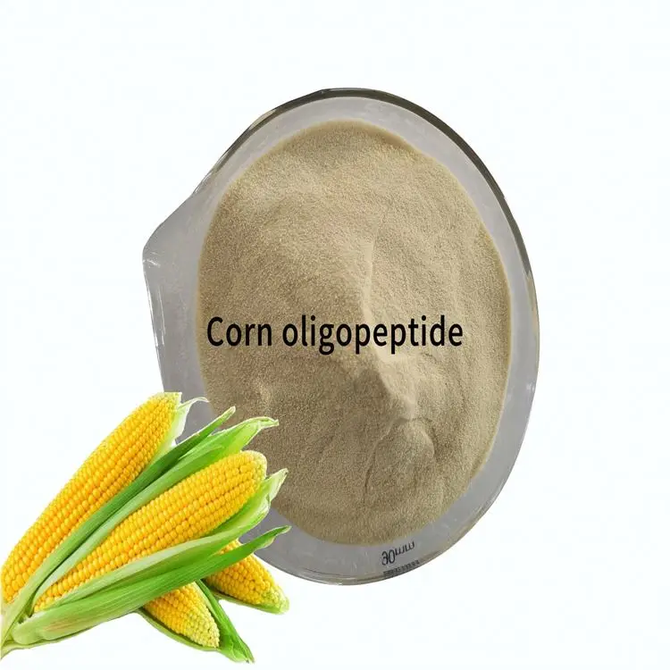 Chinese Supplier corn protein peptide powder for Nutritional Supplements