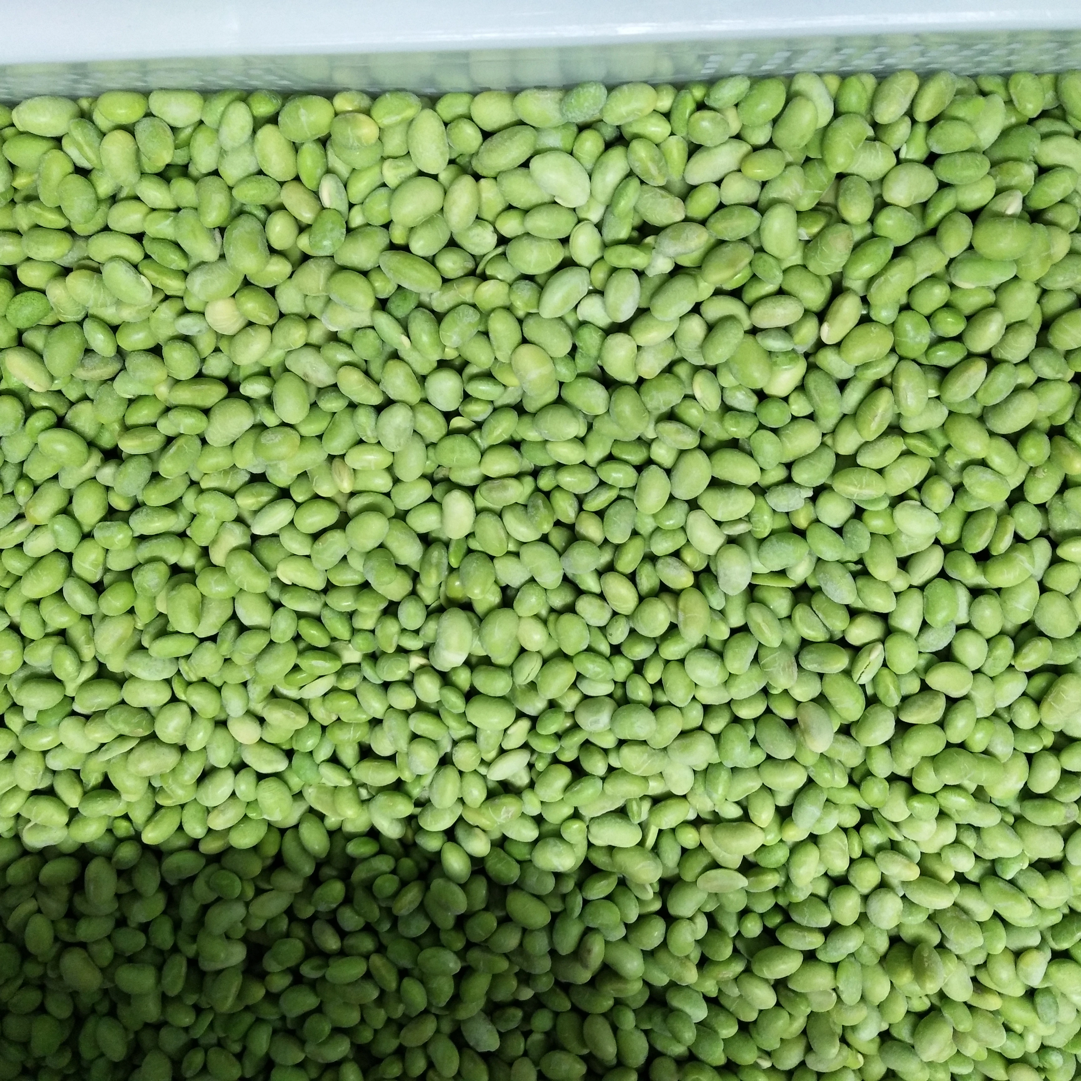 
IQF Organic Peas in Fresh Condition 