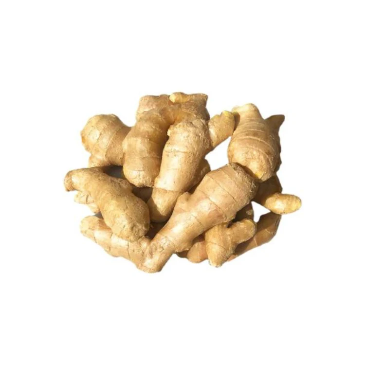 High Content cheap prices per ton bulk fresh aromatic ginger import china