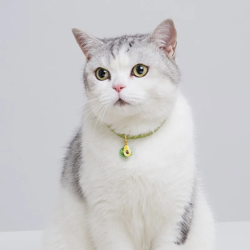 OEM/ODM Cat Collar Solid Color Cute Cat Neck Jewelry Decoration Kitten Pet Bell Necklace Outdoor Accessories Products Supplies