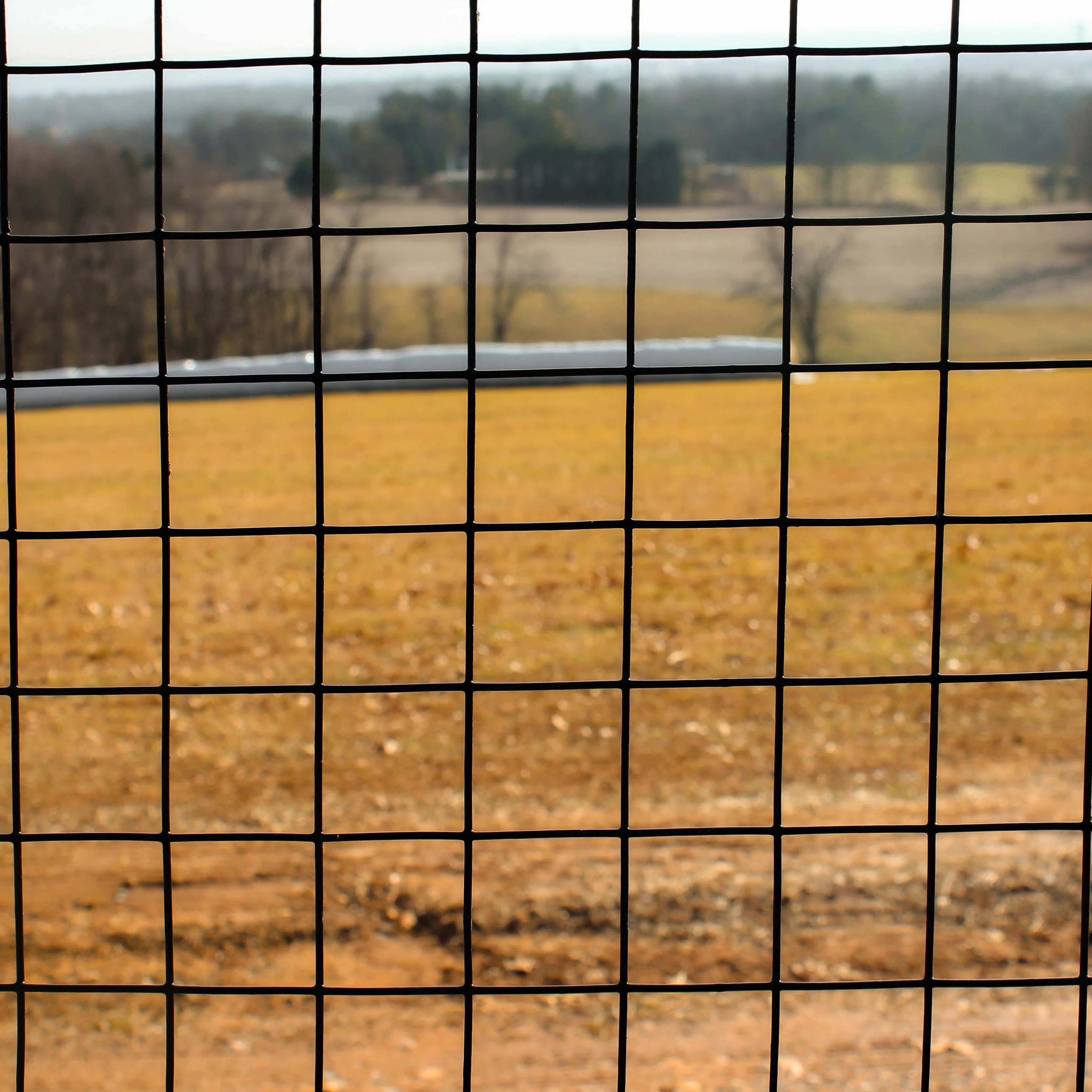 High quality 19 gauge 1/2inch welded wire mesh fence black pvc coated welded wire mesh rolls