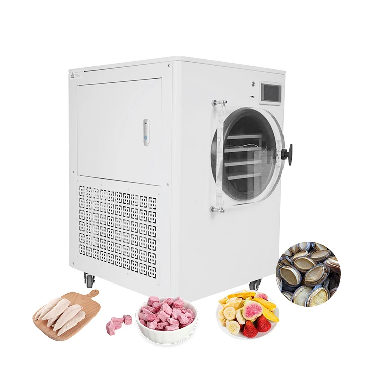 China Lyophilization Equipment Freeze Drying Lyophilizer Machine Industrial Fruit Food Vacuum Freeze Dryer