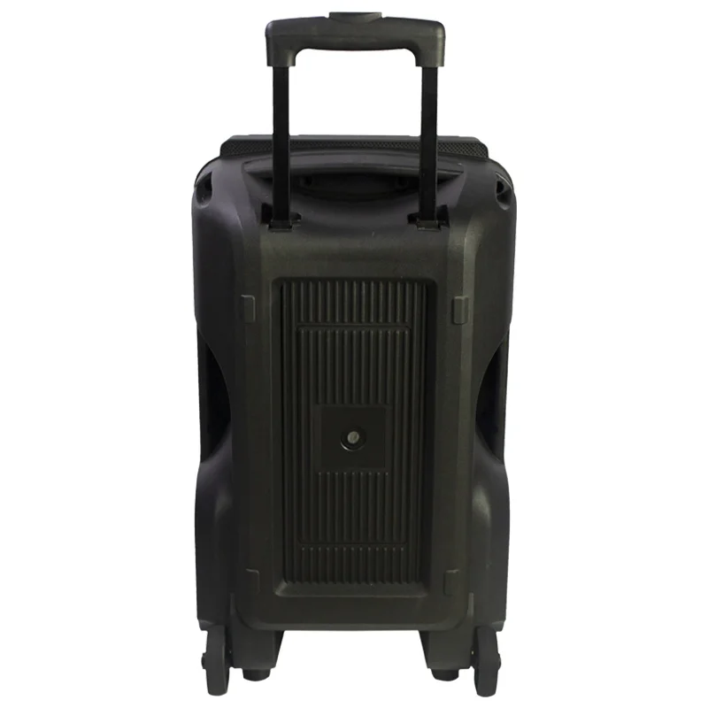 Oem Mp3 12inch Trolly Outdoor Party Dj Outdoor Speakers Weatherproof