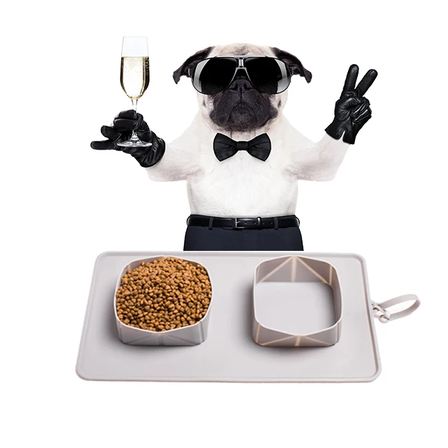 2021 factory best quality bpa free custom portable dog pet silicone  bowl