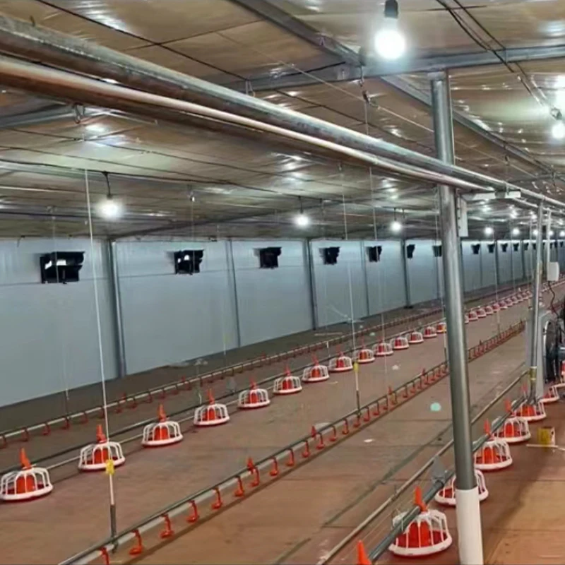 Automatic Steel Chicken Nipple Drinker Broiler Line Feeders and Drinkers Floor Pan System for New & Used Chicken Farming