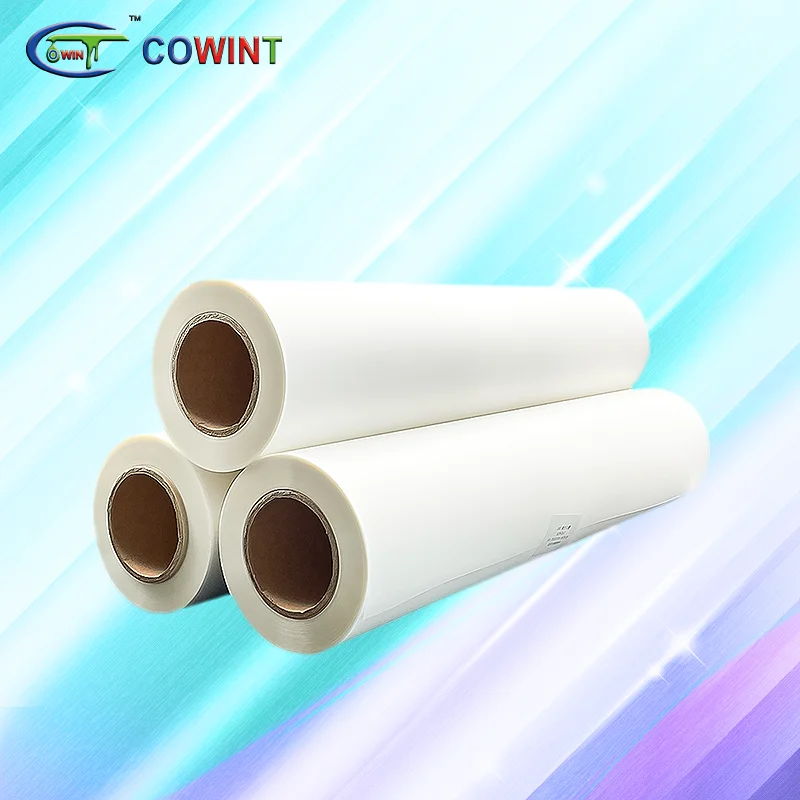 Cowint Digital Printing Colorful Dtf Glossy Film Per Roll Sheets 30cm 14x16 Inch Heat Transfer for Cloth