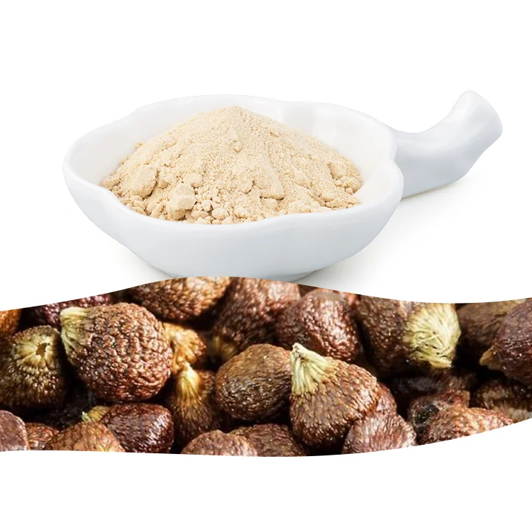 African Grains of Paradise Extract Aframomum Melegueta Gingerol and Paradol