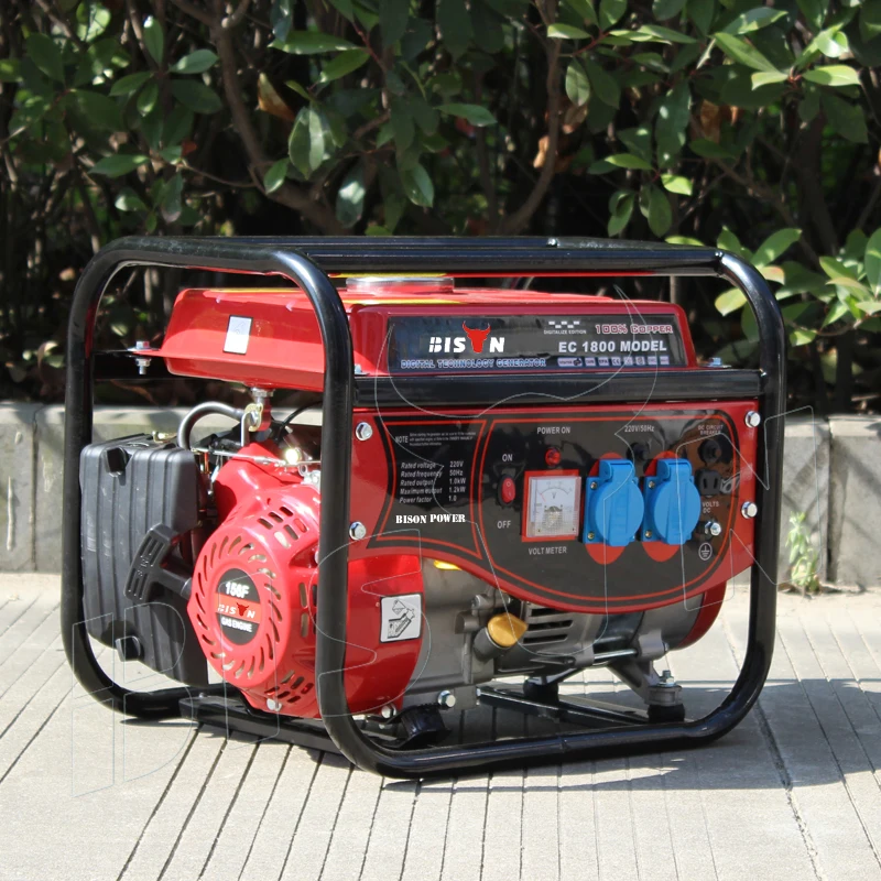 China 48V Dc 1.2Kw 1200W Electric Power Lpg Gas Generator For Sale