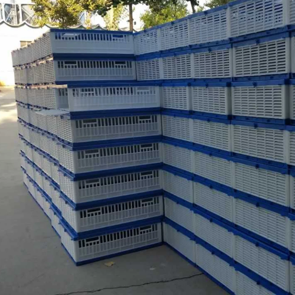 Birds Carrier Crate Three Doors Pigeon Cage Plastic Transportation Cage For Pigeon Bird Shipping Cage