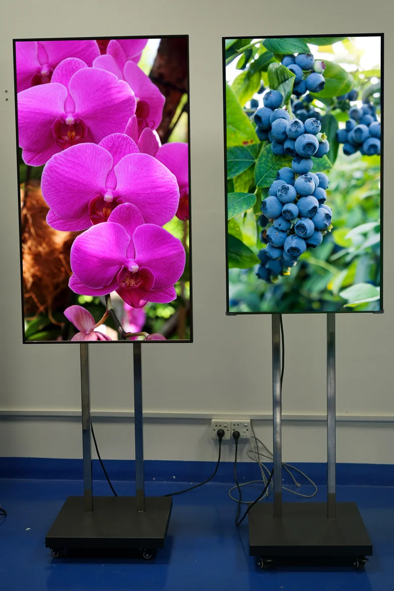 55inch Outdoor High Brightness Sports Event Scoreboard Display with Aviation Case